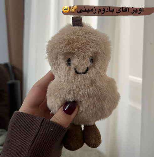 اویز/ جاسوییچی /جاکلیدی /چارم بگ اقای بادوم زمینی🥜🥹